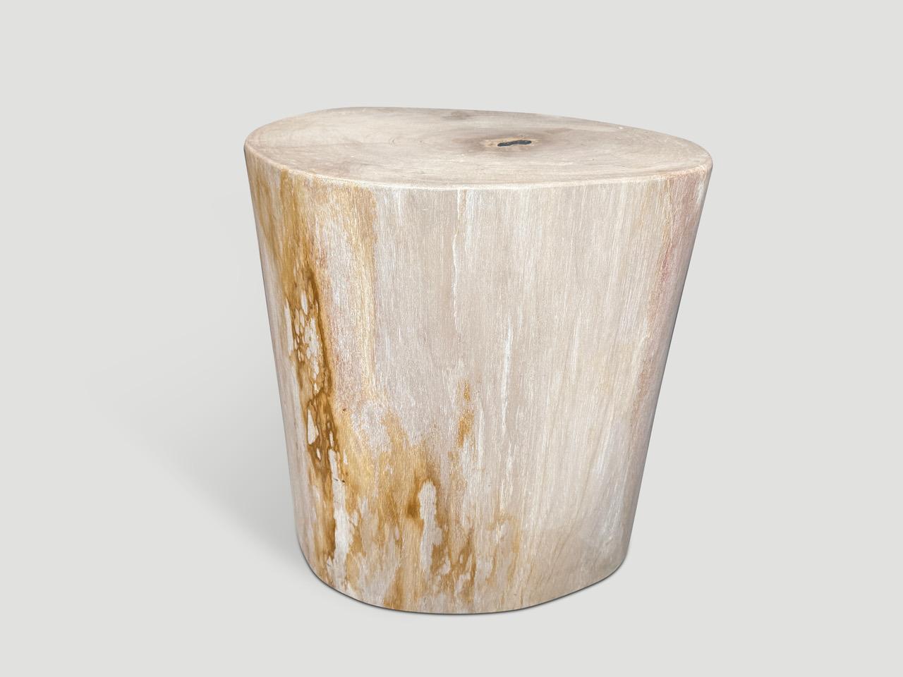 Beeindruckend schöne Farbtöne auf diesem hochwertigen Beistelltisch aus versteinertem Holz. Es ist faszinierend, wie Mutter Natur diese atemberaubenden, 40 Millionen Jahre alten, versteinerten Teakholzstämme mit solch kontrastreichen Farben und