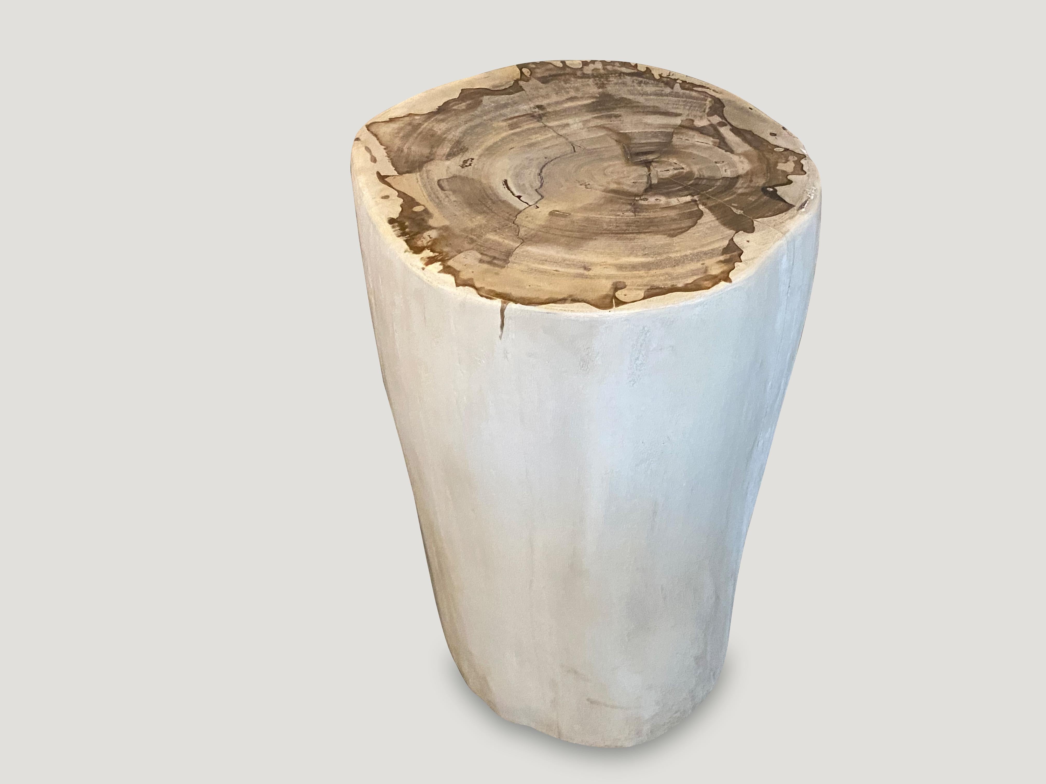 Organic Modern Andrianna Shamaris Minimalist High Quality Petrified Wood Side Table