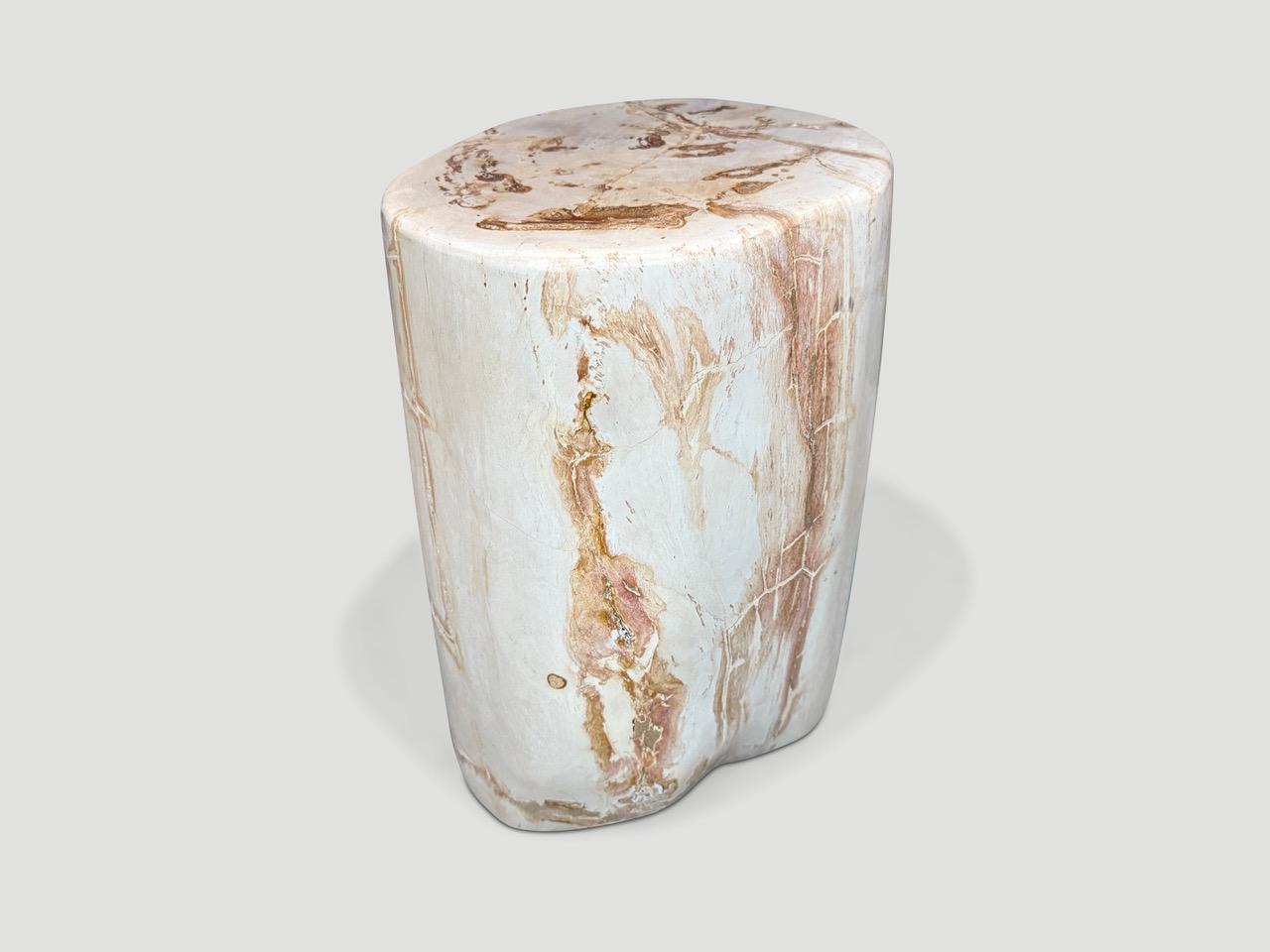 Organique Andrianna Shamaris table d'appoint minimaliste en bois pétrifié de haute qualité en vente