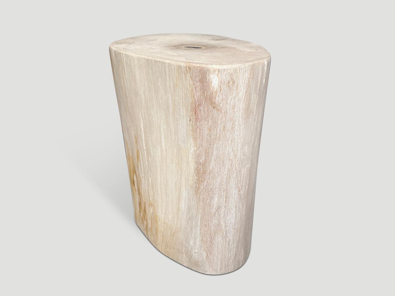 Andrianna Shamaris Minimalistischer Beistelltisch aus versteinertem Holz von hoher Qualität (Organische Moderne) im Angebot