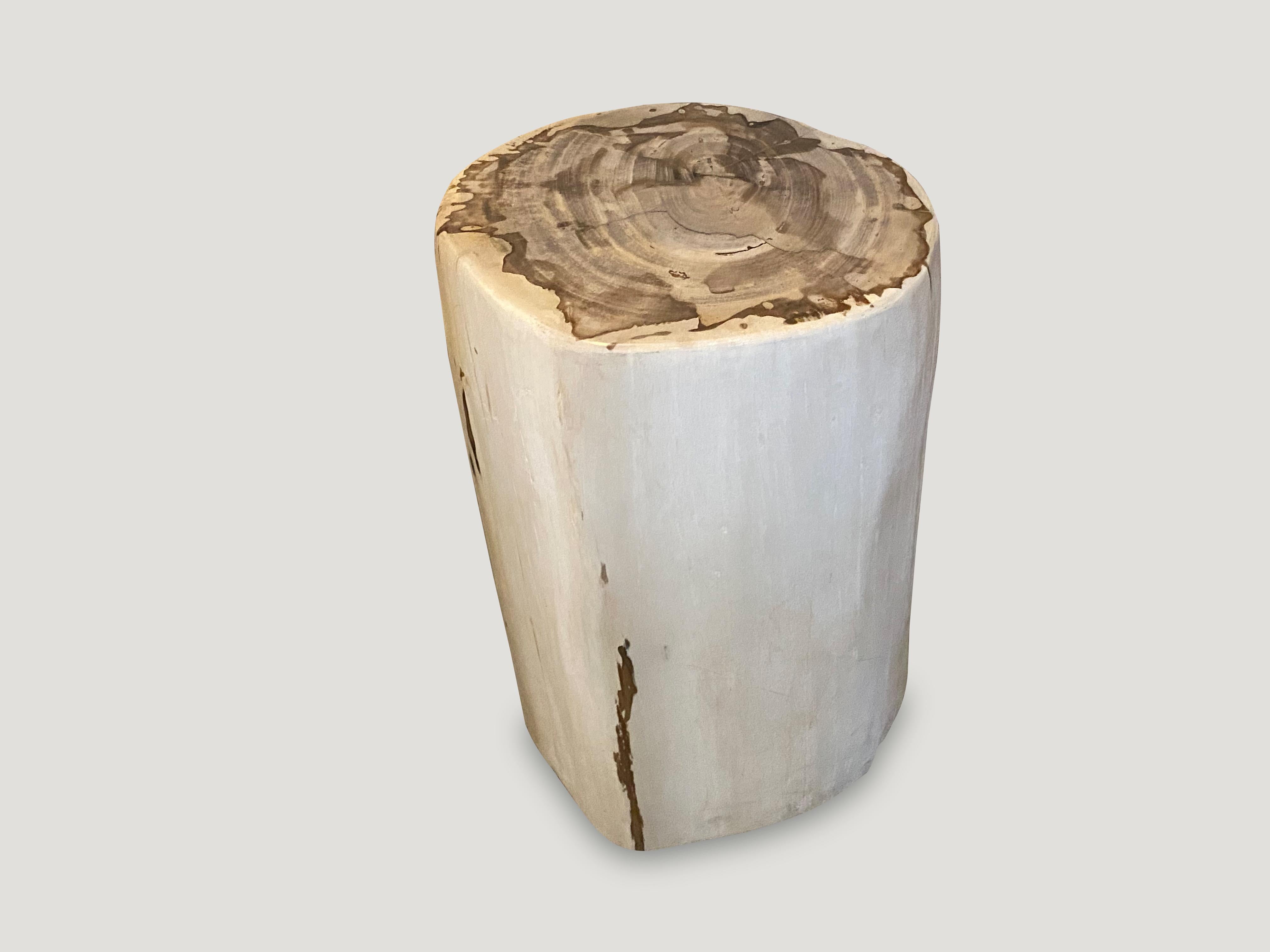 Andrianna Shamaris Minimalist High Quality Petrified Wood Side Table In Excellent Condition In New York, NY
