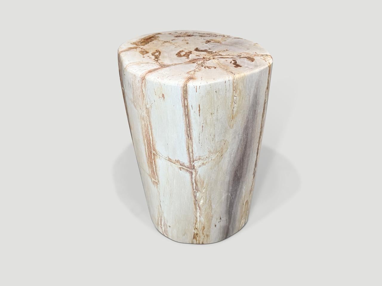 Andrianna Shamaris table d'appoint minimaliste en bois pétrifié de haute qualité Excellent état - En vente à New York, NY