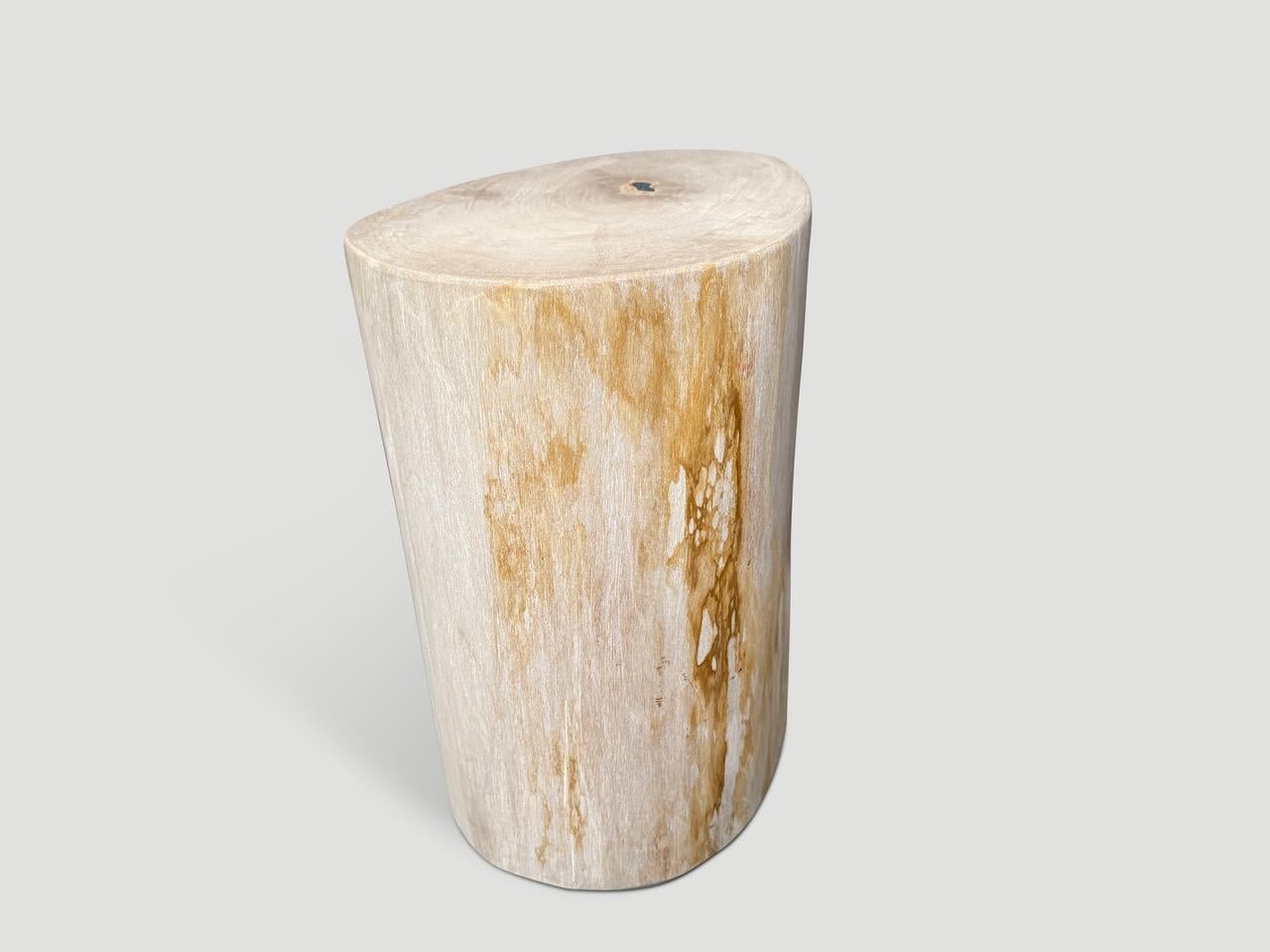 Andrianna Shamaris Minimalistischer Beistelltisch aus versteinertem Holz von hoher Qualität im Zustand „Hervorragend“ im Angebot in New York, NY