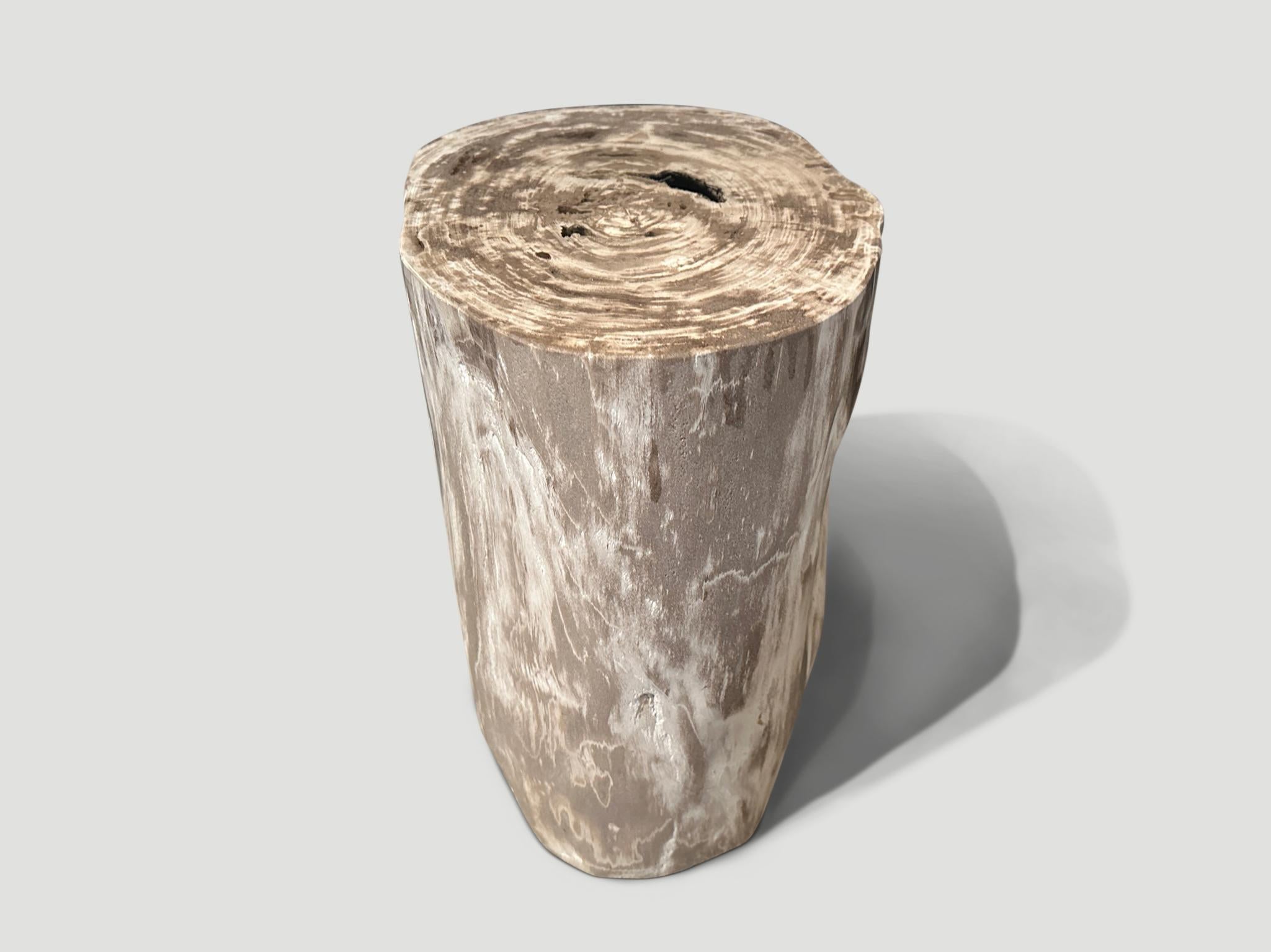 Contemporary Andrianna Shamaris Minimalist High Quality Petrified Wood Side Table For Sale