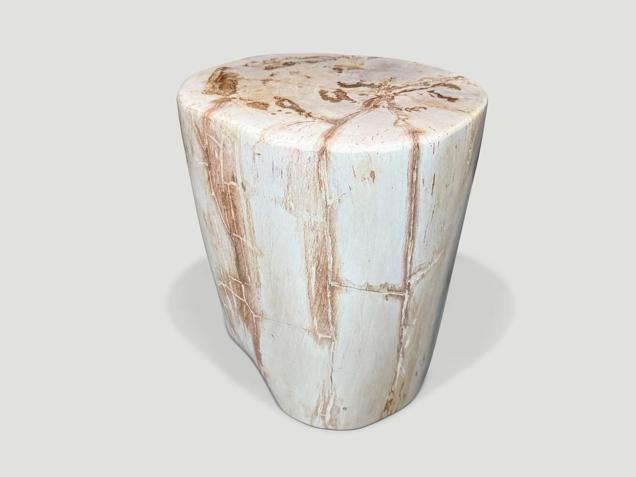 XXIe siècle et contemporain Andrianna Shamaris table d'appoint minimaliste en bois pétrifié de haute qualité en vente