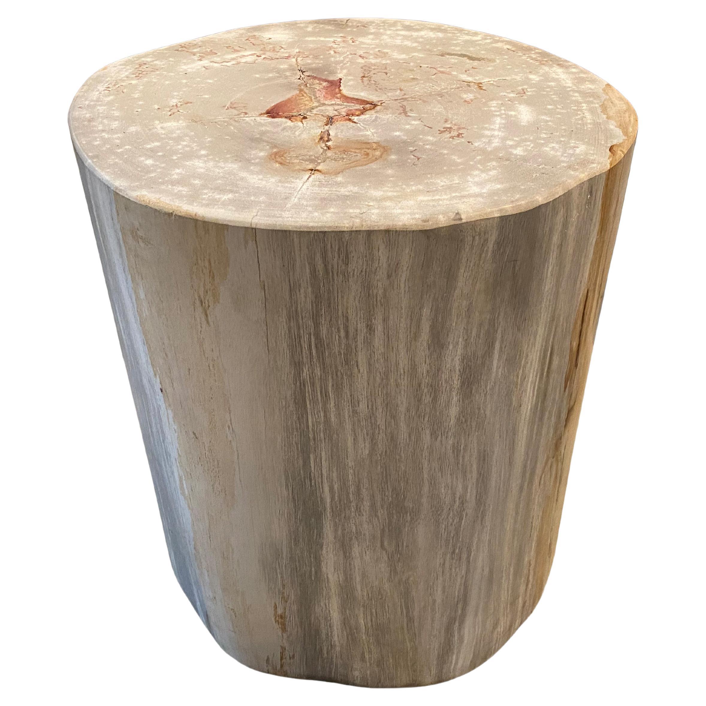 Andrianna Shamaris Minimalist High Quality Petrified Wood Side Table at ... - High-Quality Minimalist Side Tables