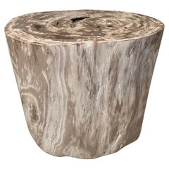 Andrianna Shamaris table d
appoint minimaliste en bois pétrifié de haute qualité