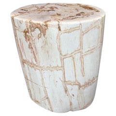 Andrianna Shamaris Minimalist High Quality Petrified Wood Side Table