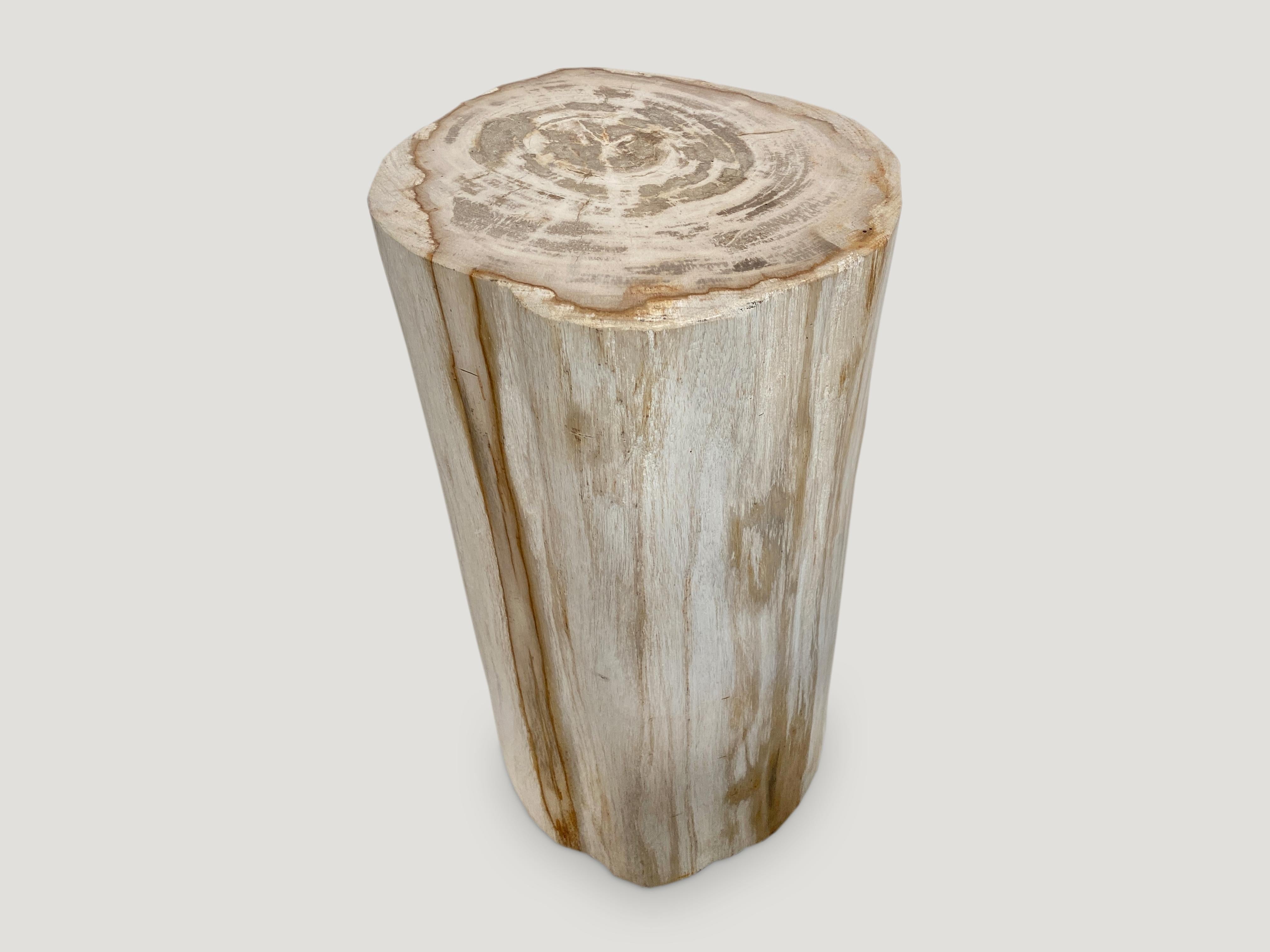 Beautiful column shape minimalist petrified wood side table or pedestal. This pale color is hard to source. We have a pair cut from the same petrified wood log. The size and price reflect the one shown.

As with a diamond, we polish the highest