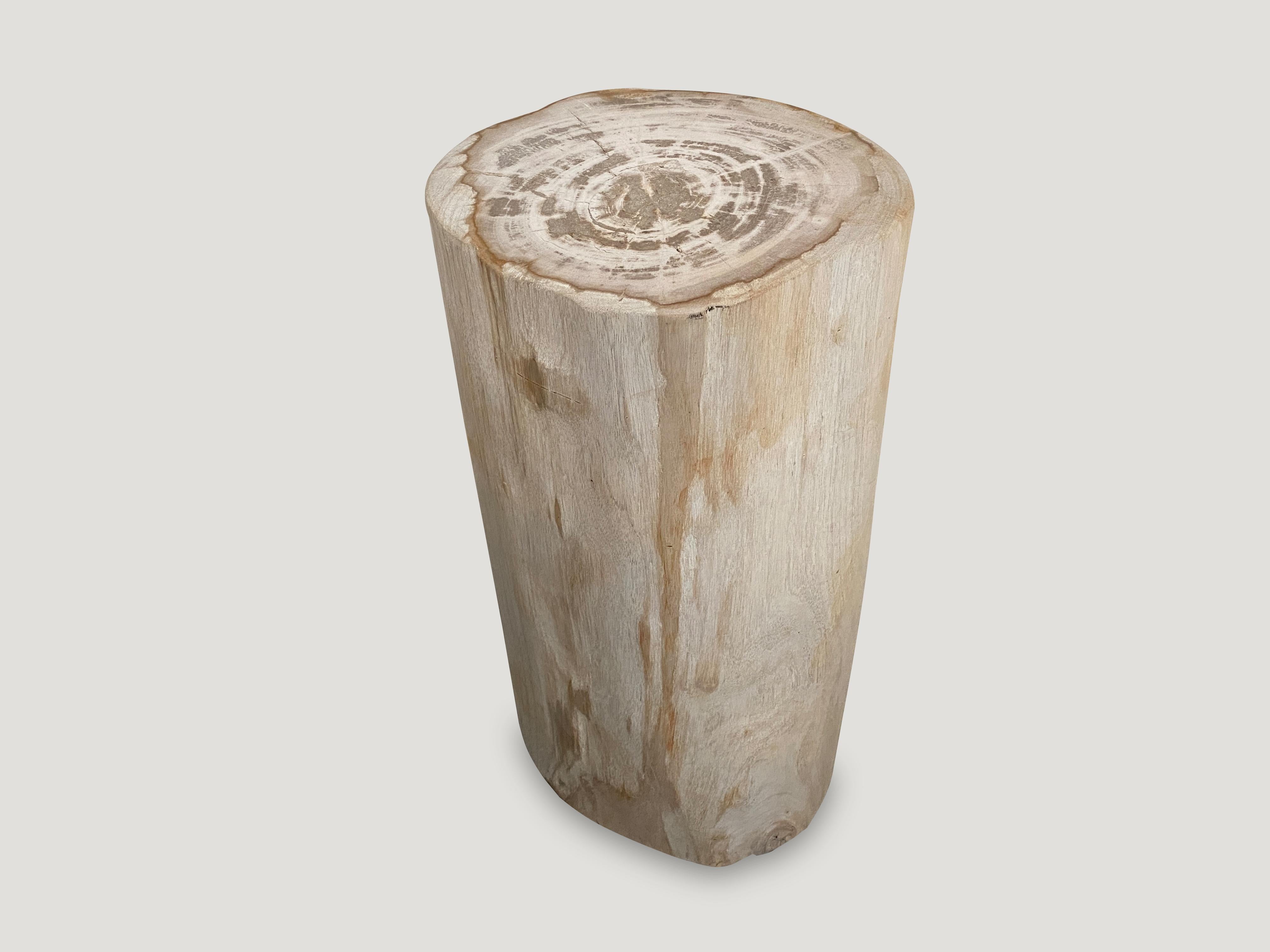 Beautiful column shape Minimalist petrified wood side table or pedestal. This pale color is hard to source. We have a pair cut from the same petrified wood log. The size and price reflect the one shown.

As with a diamond, we polish the highest