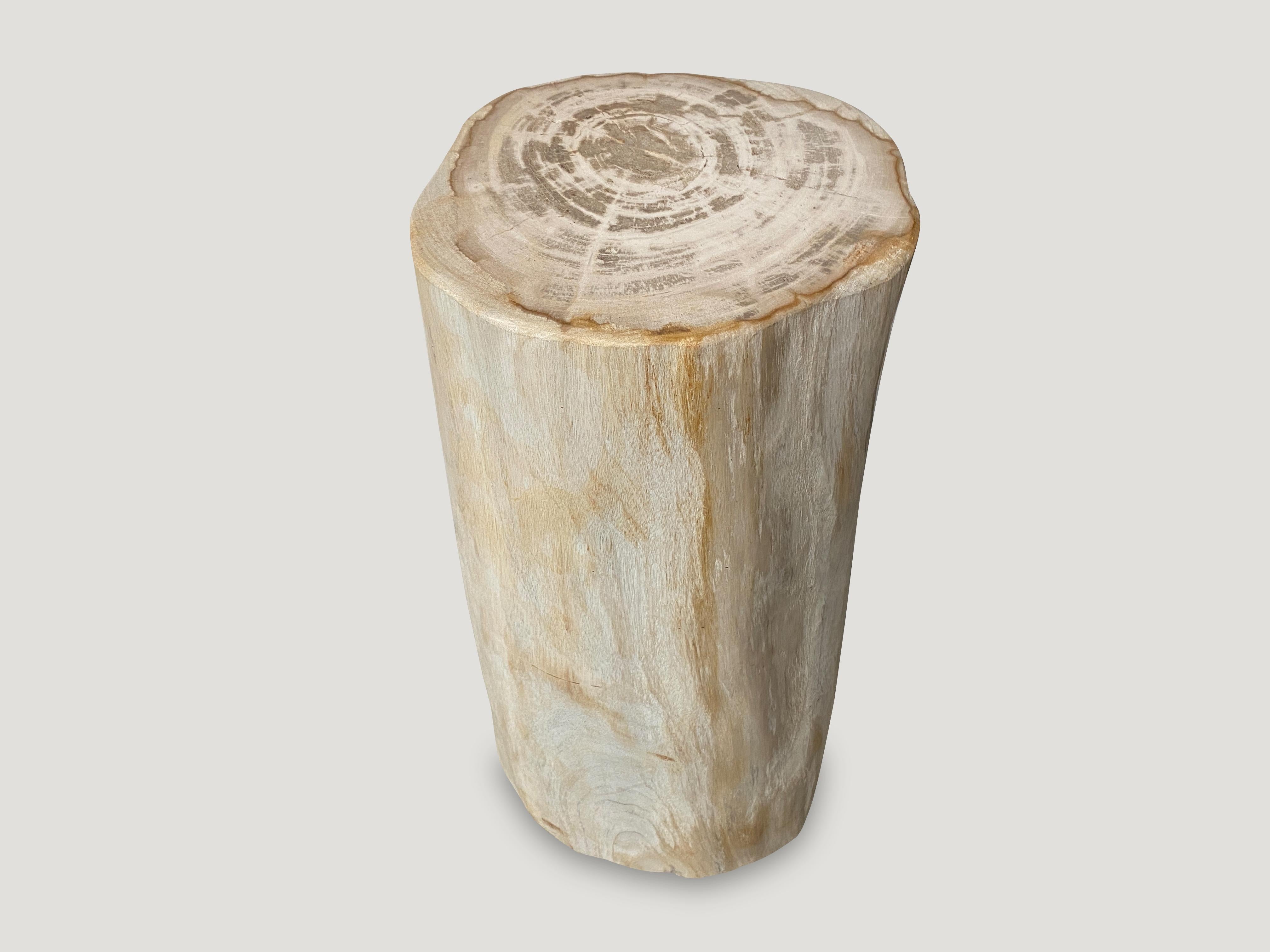 Organic Modern Andrianna Shamaris Minimalist High Quality Petrified Wood Side Table or Pedestal