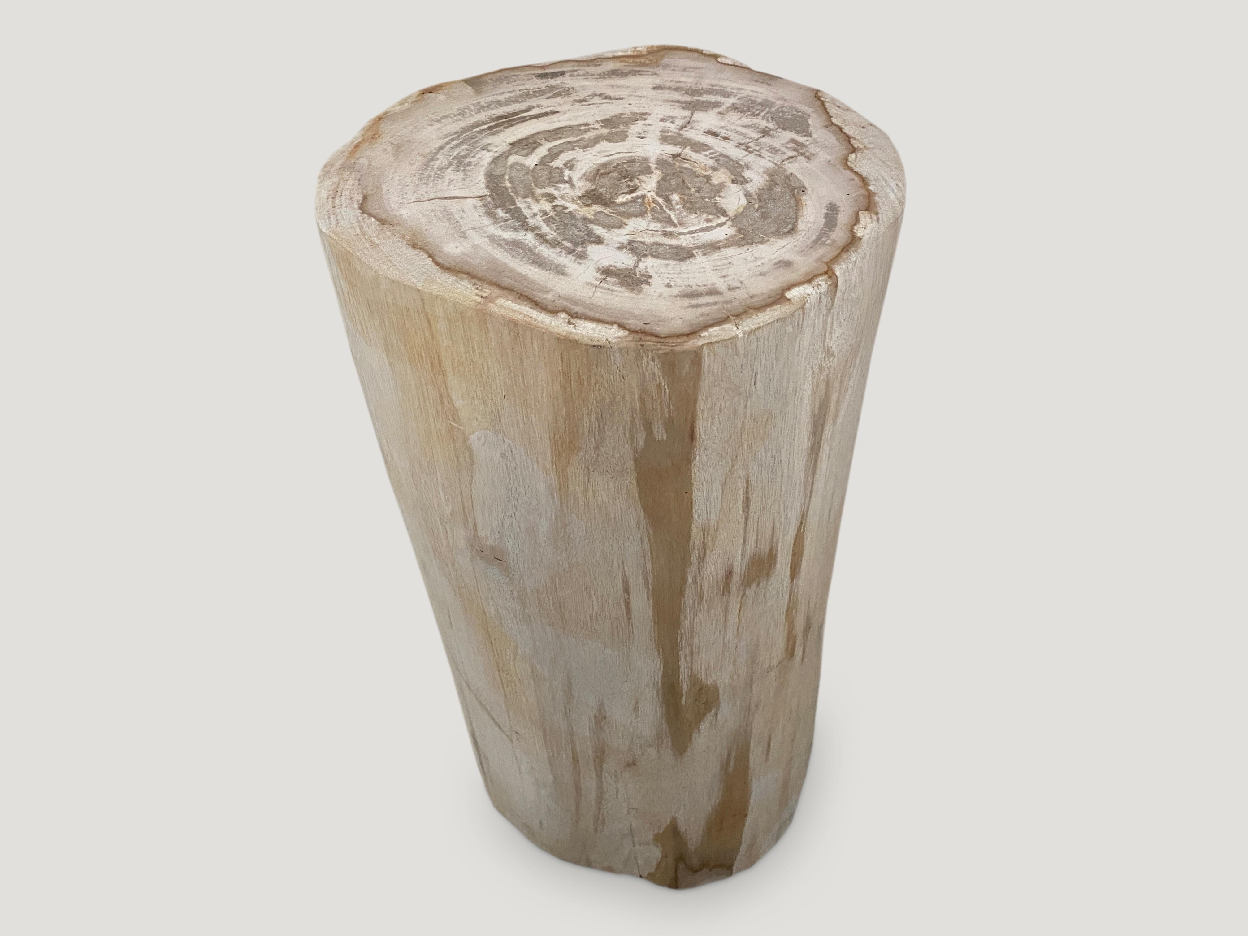 Organic Modern Andrianna Shamaris Minimalist High Quality Petrified Wood Side Table or Pedestal