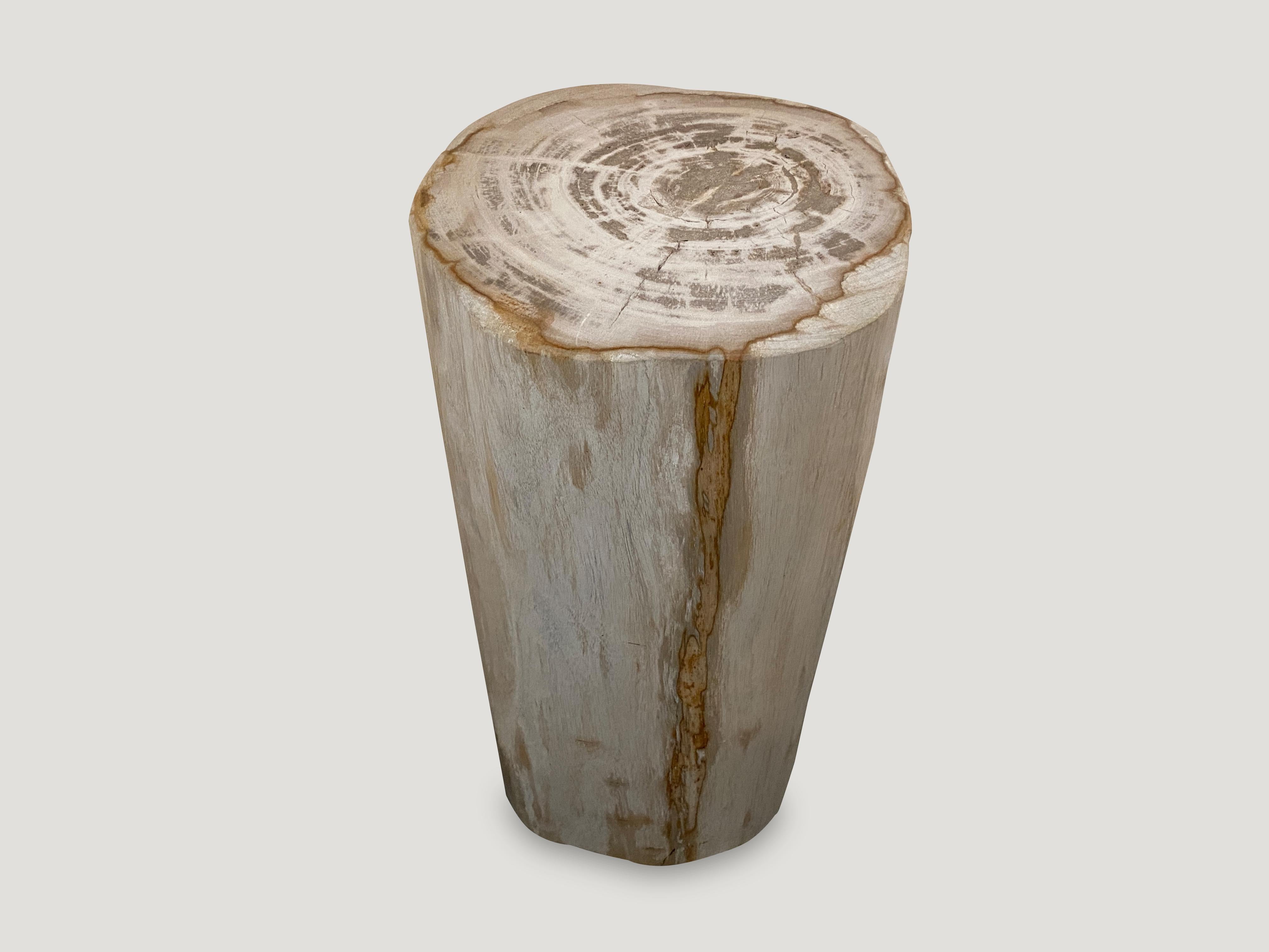 Andrianna Shamaris Minimalist High Quality Petrified Wood Side Table or Pedestal In Excellent Condition In New York, NY