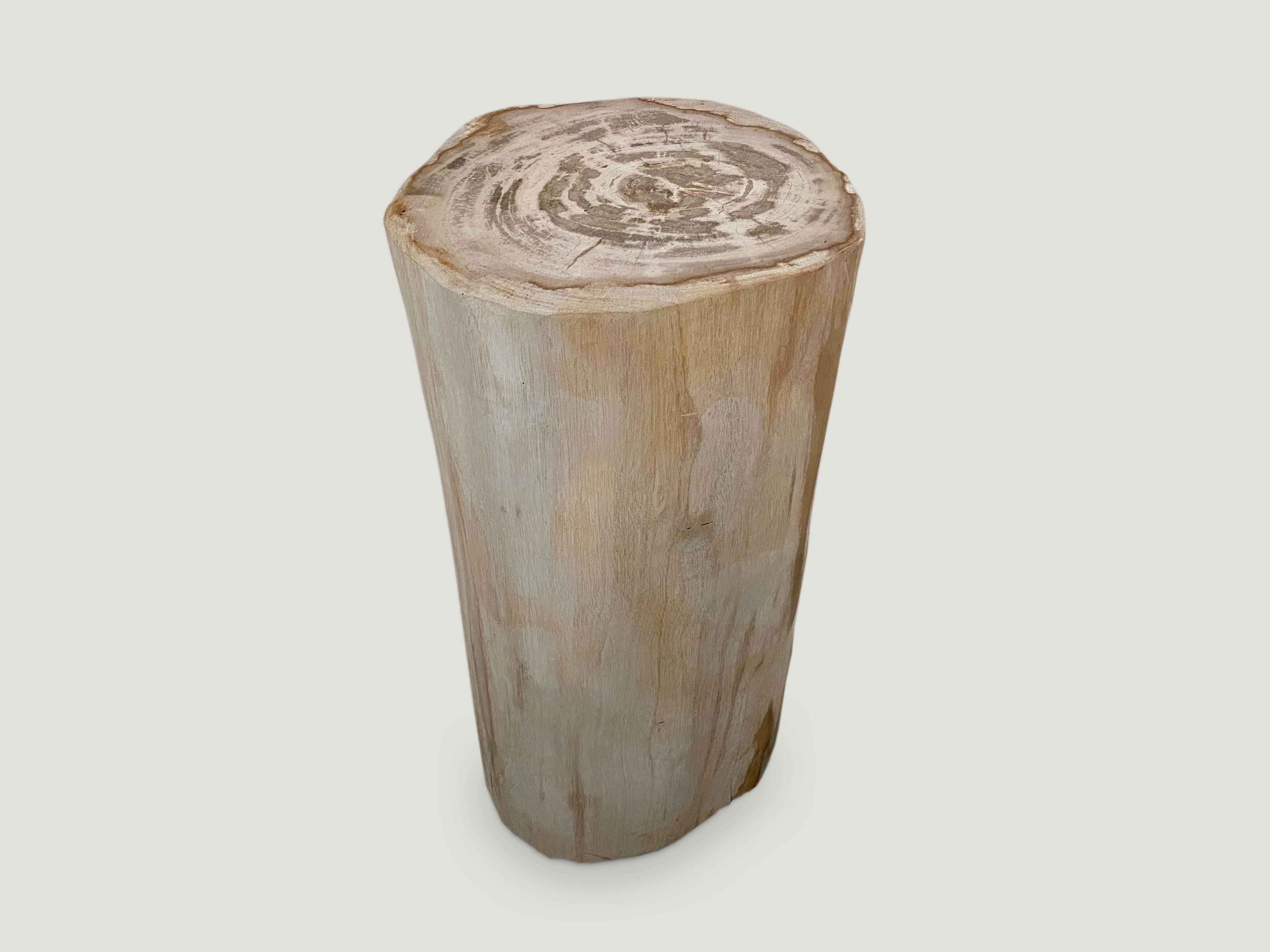 Andrianna Shamaris Minimalist High Quality Petrified Wood Side Table or Pedestal In Excellent Condition In New York, NY