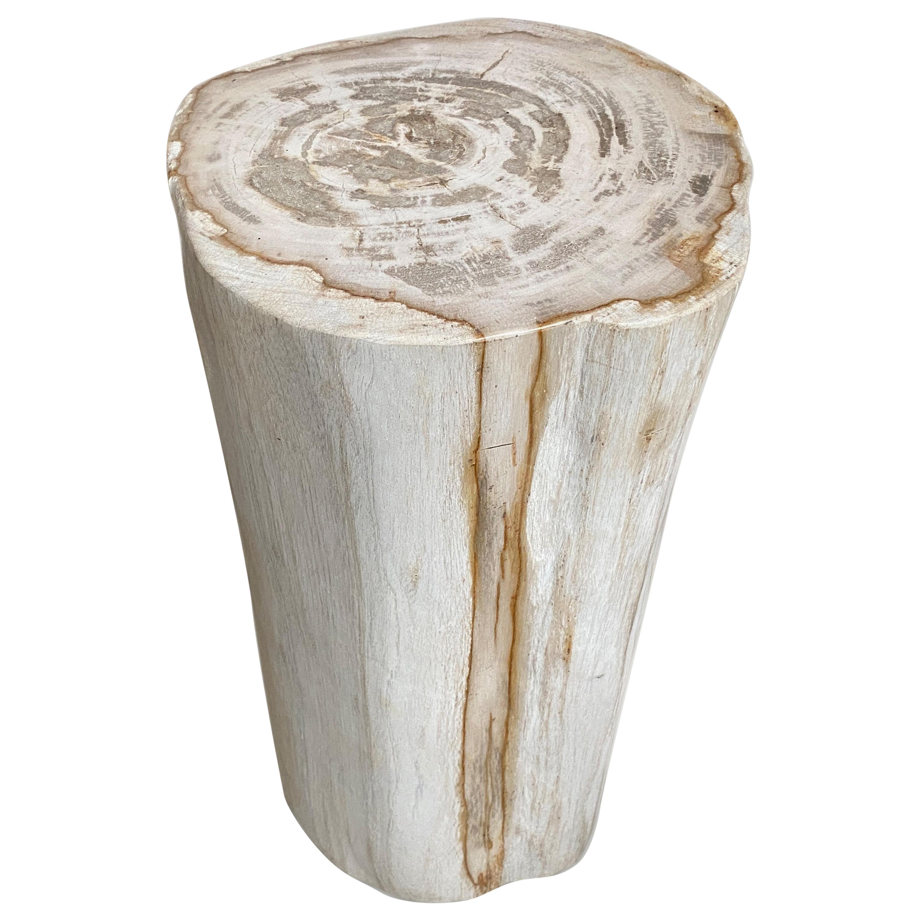 Andrianna Shamaris Minimalist High Quality Petrified Wood Side Table or Pedestal