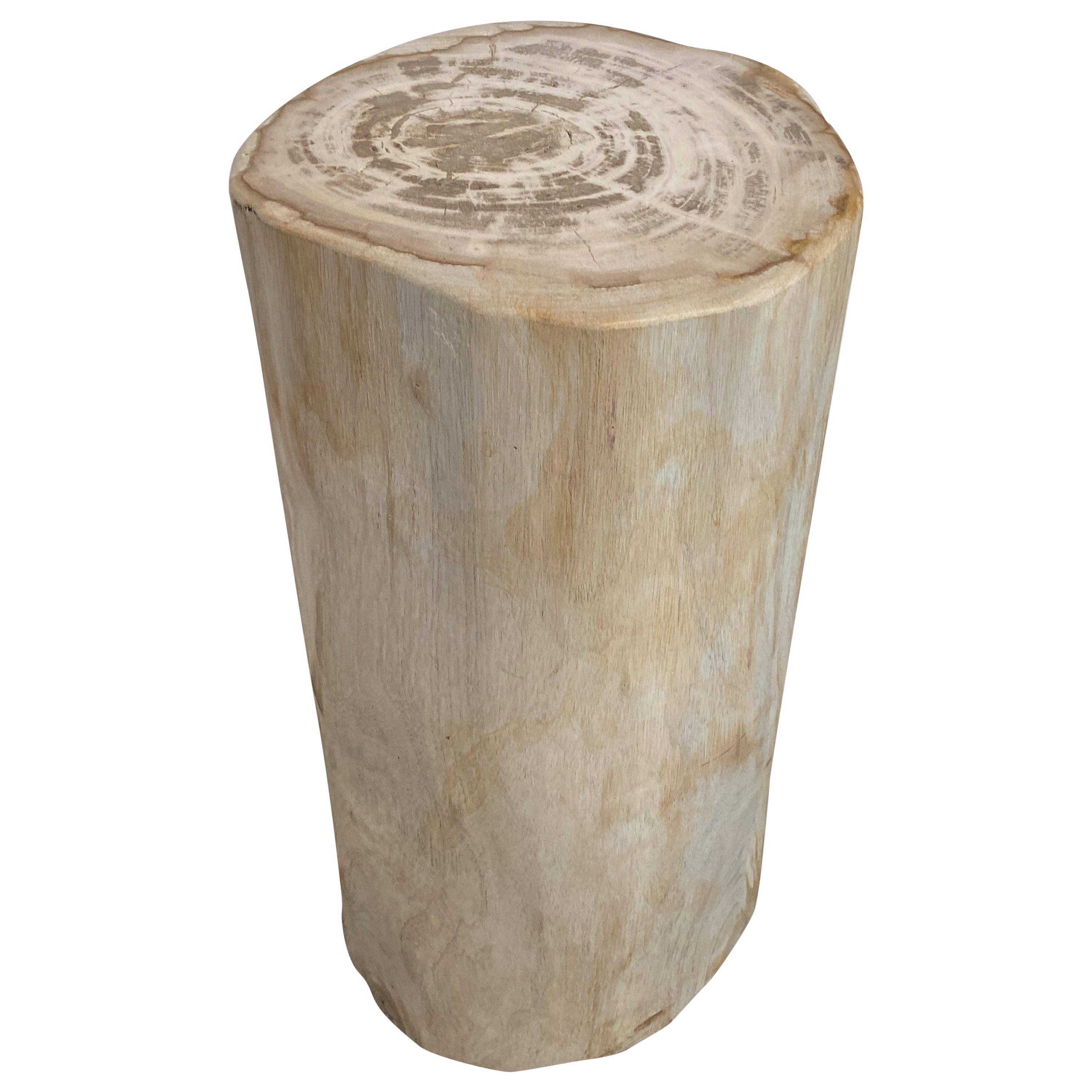 Andrianna Shamaris Minimalist High Quality Petrified Wood Side Table or Pedestal