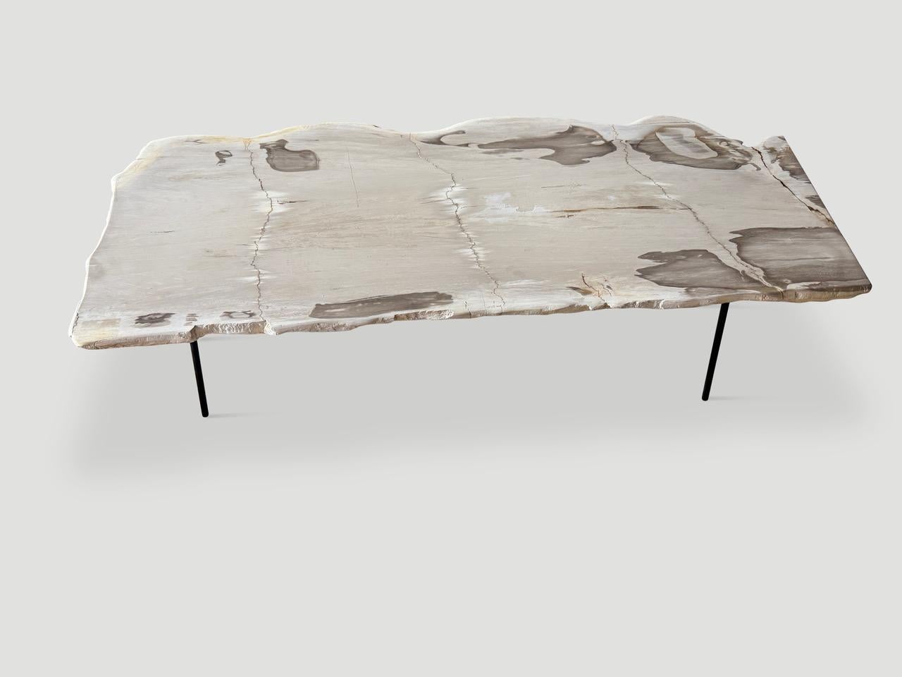 Beautiful ancient slab of high quality petrified wood, floats on a minimalist black metal base. It’s fascinating how Mother Nature produces these stunning 40 million year old petrified teak logs with such contrasting colors and natural patterns