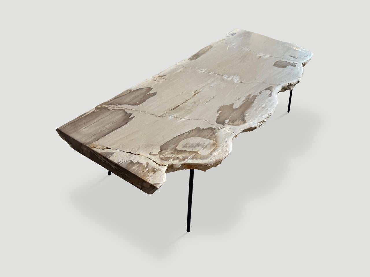 Organic Modern Andrianna Shamaris Minimalist Live Edge Petrified Wood Coffee Table For Sale