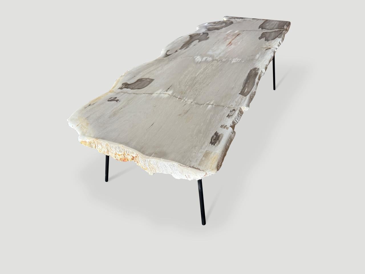 Contemporary Andrianna Shamaris Minimalist Live Edge Petrified Wood Coffee Table For Sale