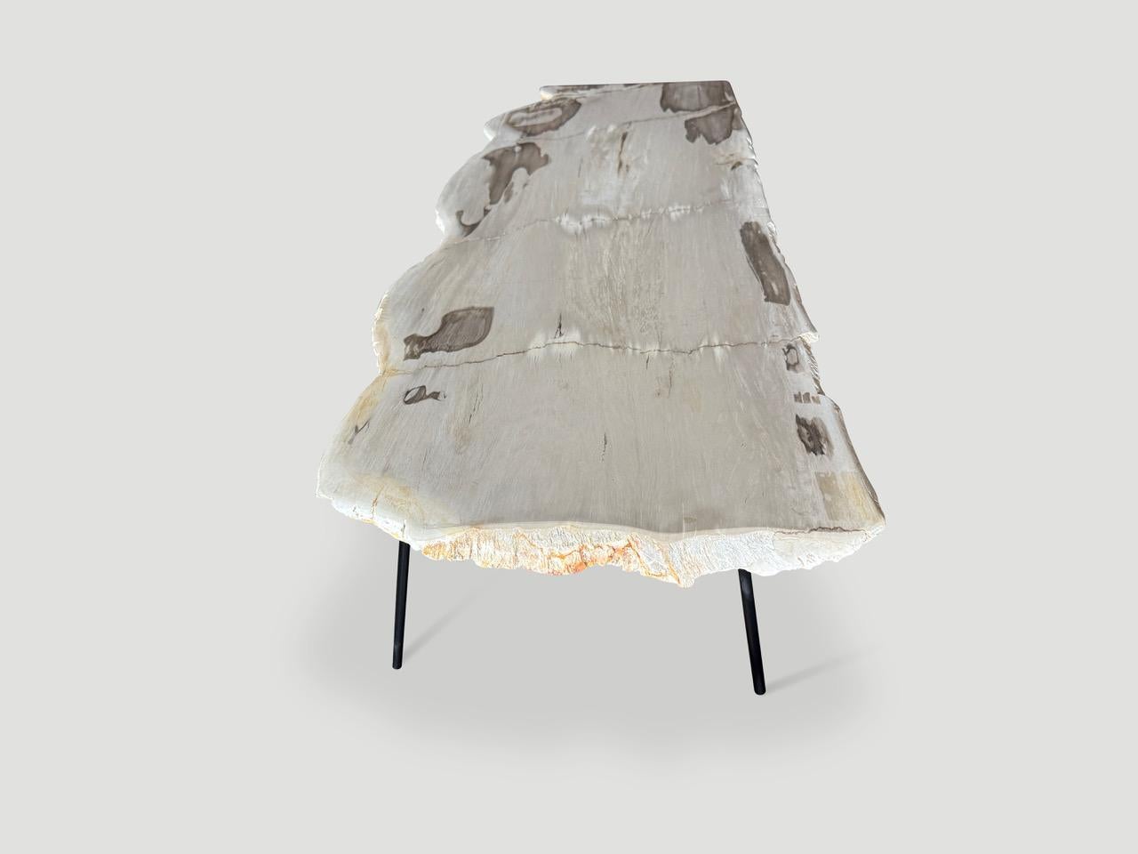 Metal Andrianna Shamaris Minimalist Live Edge Petrified Wood Coffee Table For Sale