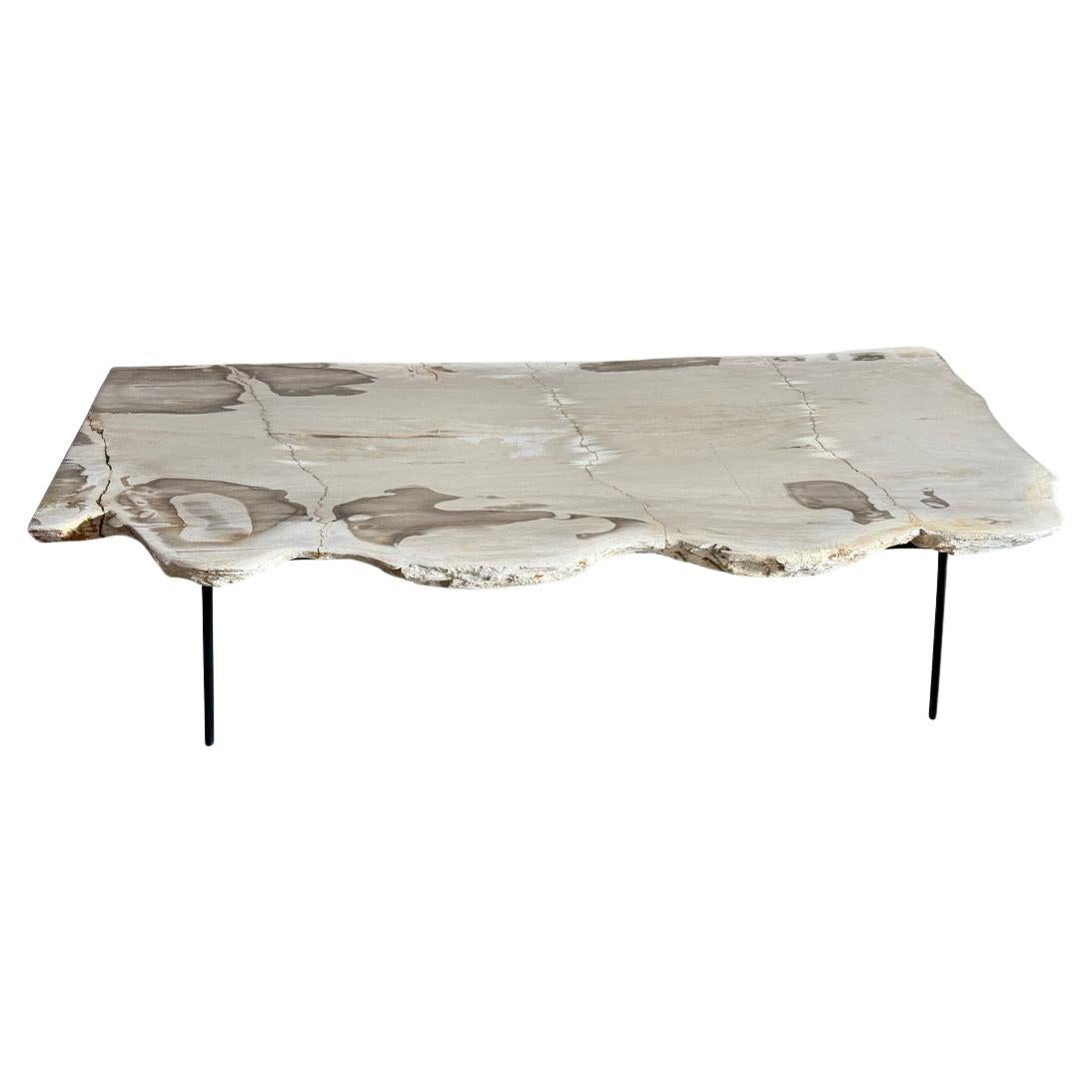 Andrianna Shamaris Minimalistischer Couchtisch aus versteinertem Holz mit lebendiger Kante