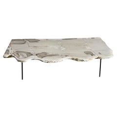 Andrianna Shamaris Minimalistischer Couchtisch aus versteinertem Holz mit lebendiger Kante
