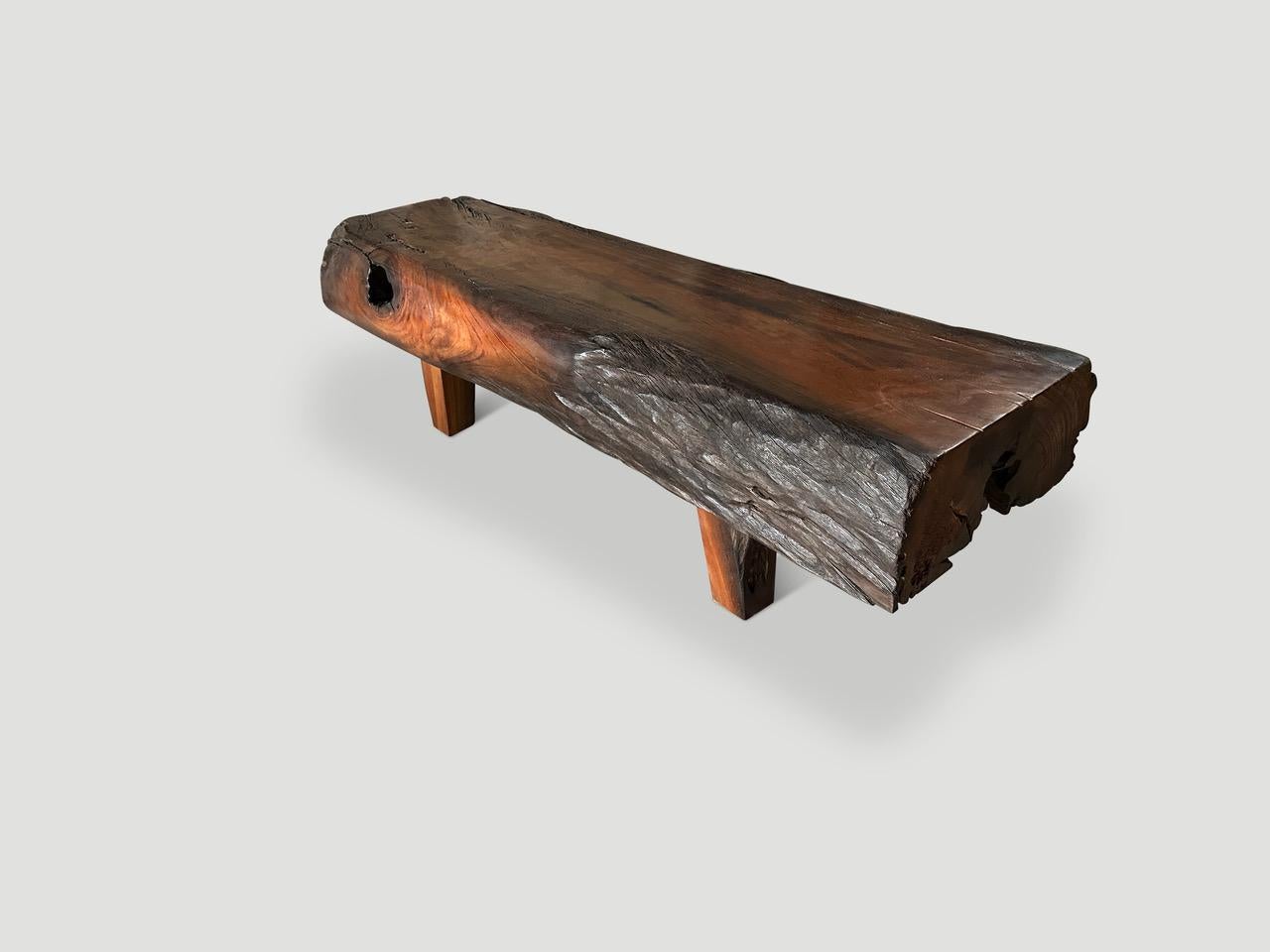 Organic Modern Andrianna Shamaris Minimalist Log Style Coffee Table or Bench