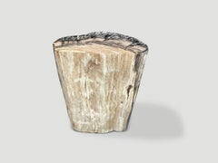 Table d'appoint minimaliste et moderne en bois pétrifié d'Andrianna Shamaris