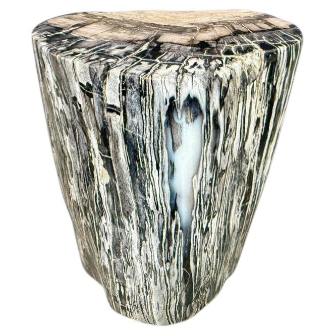 Andrianna Shamaris Minimalist Modern Organic Petrified Wood Side Table For Sale