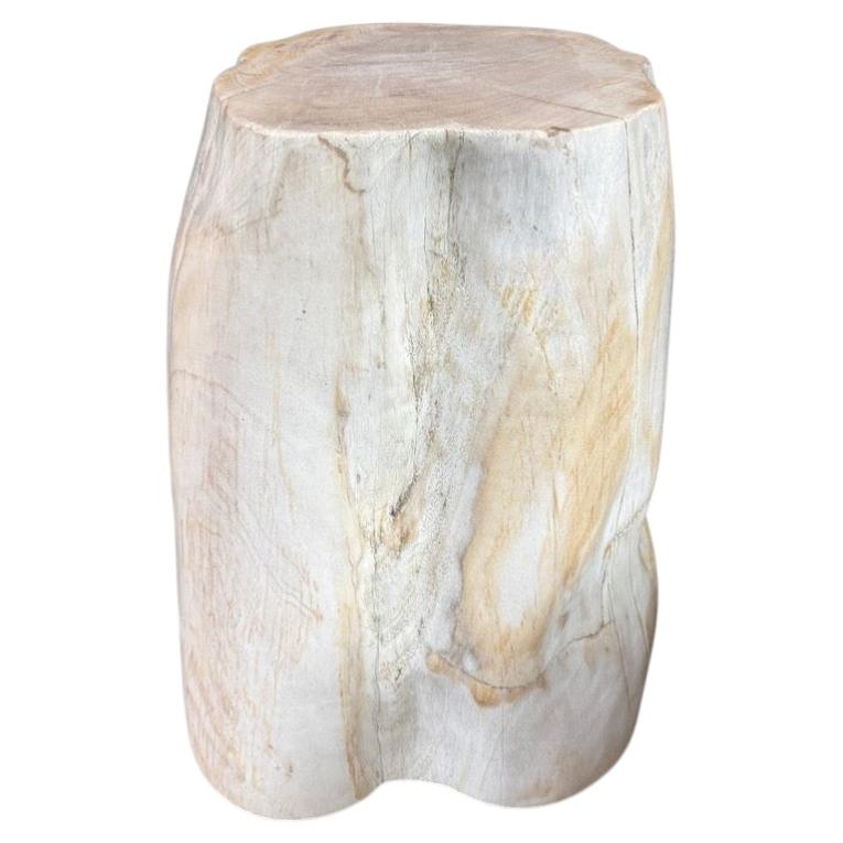 Andrianna Shamaris Minimalist Modern Organic Petrified Wood Side Table