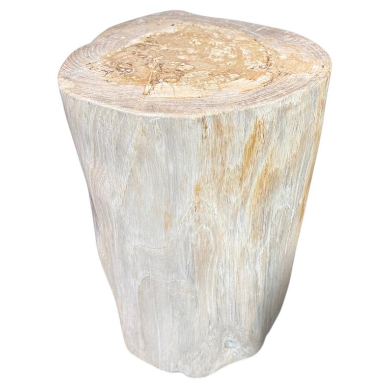 Andrianna Shamaris Minimalist Modern Organic Petrified Wood Side Table