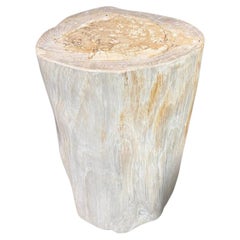 Tavolino in legno pietrificato organico, moderno e minimalista, di Adrianna Shamaris
