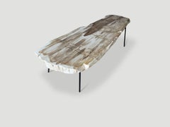 Andrianna Shamaris Petrified Wood Coffee Table, Minimalist Design