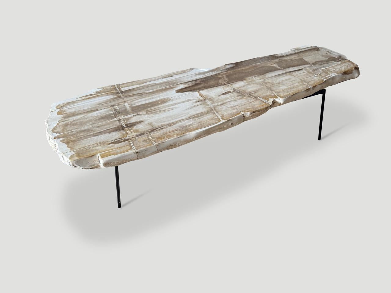 Andrianna Shamaris Table basse minimaliste en bois pétrifié aux tons pâles Excellent état - En vente à New York, NY