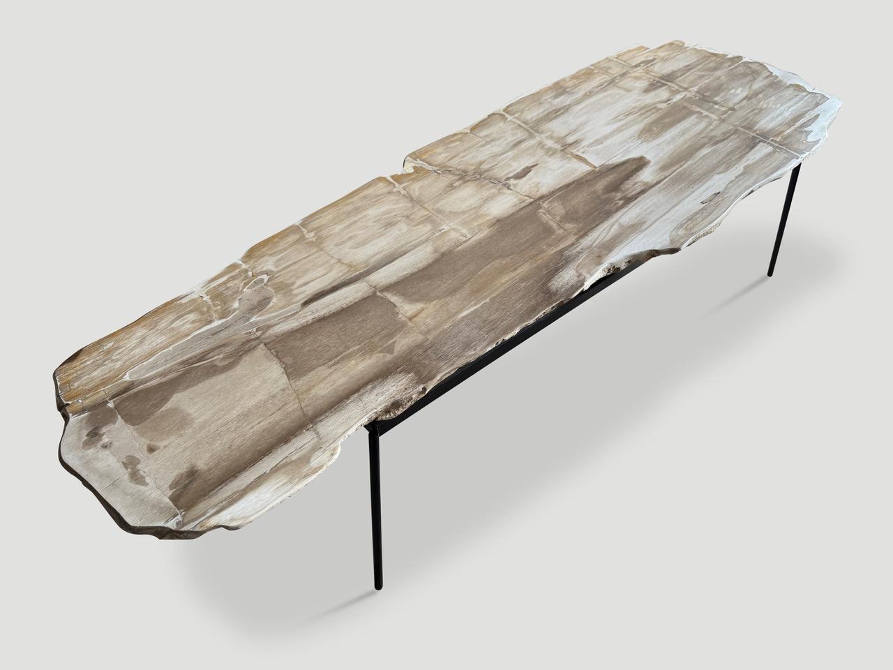XXIe siècle et contemporain Andrianna Shamaris Table basse minimaliste en bois pétrifié aux tons pâles en vente