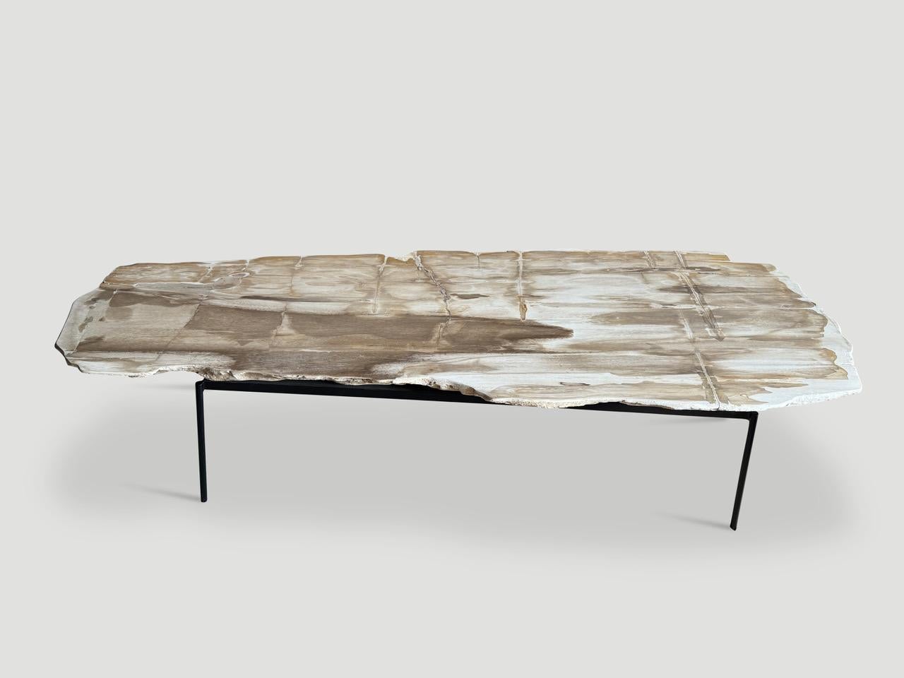 Métal Andrianna Shamaris Table basse minimaliste en bois pétrifié aux tons pâles en vente