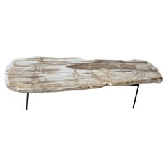 Andrianna Shamaris Minimalist Pale Toned Petrified Wood Coffee Table