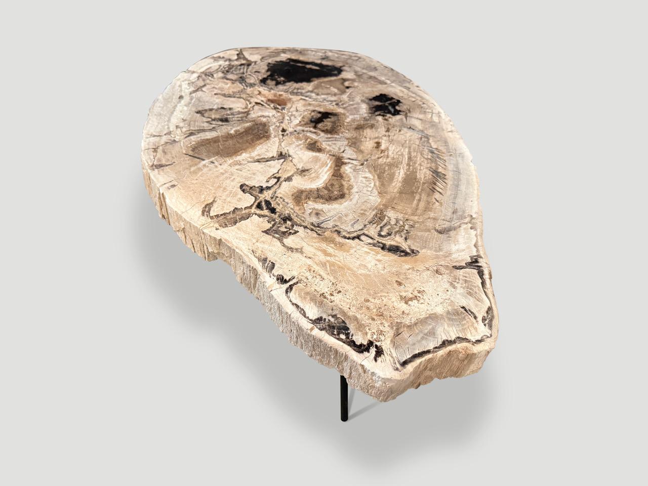 Une magnifique plaque de bois pétrifié de haute qualité, de deux pouces et demi, flotte sur une base minimaliste en métal noir. Il est fascinant de voir comment Mère Nature produit ces stupéfiants troncs de teck pétrifiés vieux de 40 millions