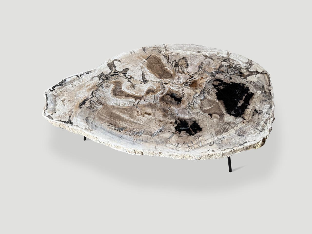 Une magnifique plaque de bois pétrifié de haute qualité, de deux pouces et demi, flotte sur une base minimaliste en métal noir. Il est fascinant de voir comment Mère Nature produit ces stupéfiants troncs de teck pétrifiés vieux de 40 millions