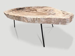 Andrianna Shamaris Petrified Wood Coffee Table - Minimalist Design