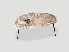 Andrianna Shamaris Petrified Wood Coffee Table, Organic Modern Design