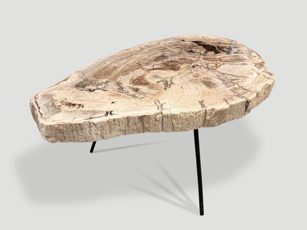 Organic Modern Andrianna Shamaris Minimalist Petrified Wood Coffee Table For Sale