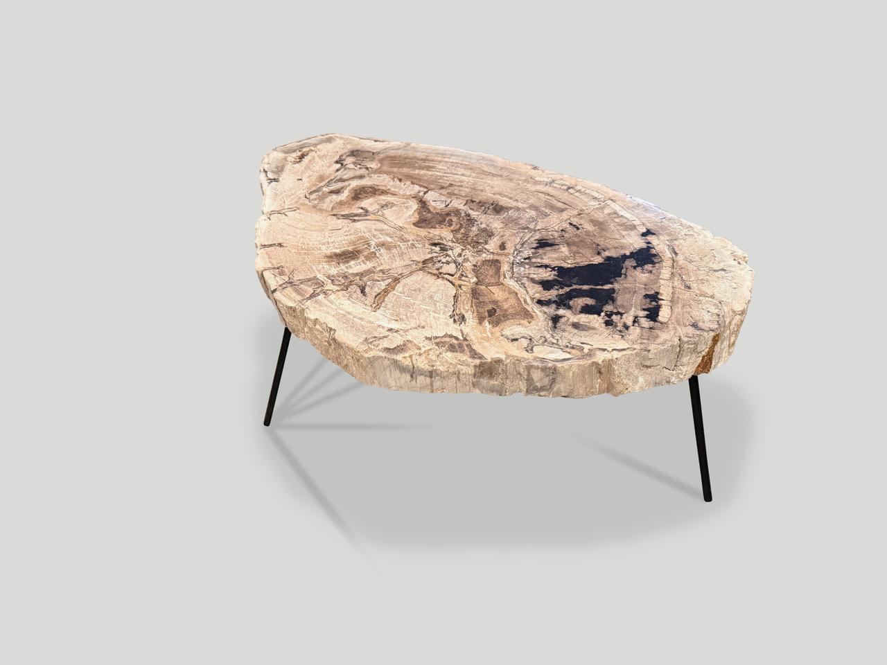Andrianna Shamaris Minimalist Petrified Wood Coffee Table In Excellent Condition For Sale In New York, NY
