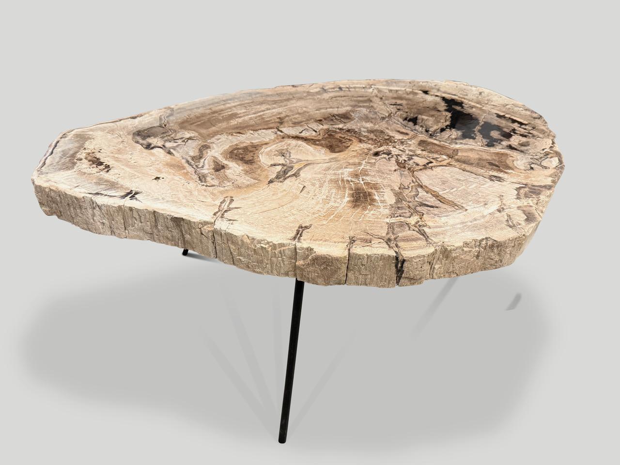 Contemporary Andrianna Shamaris Minimalist Petrified Wood Coffee Table For Sale