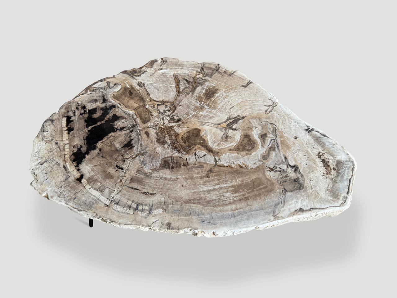 Andrianna Shamaris Minimalist Petrified Wood Coffee Table For Sale 1