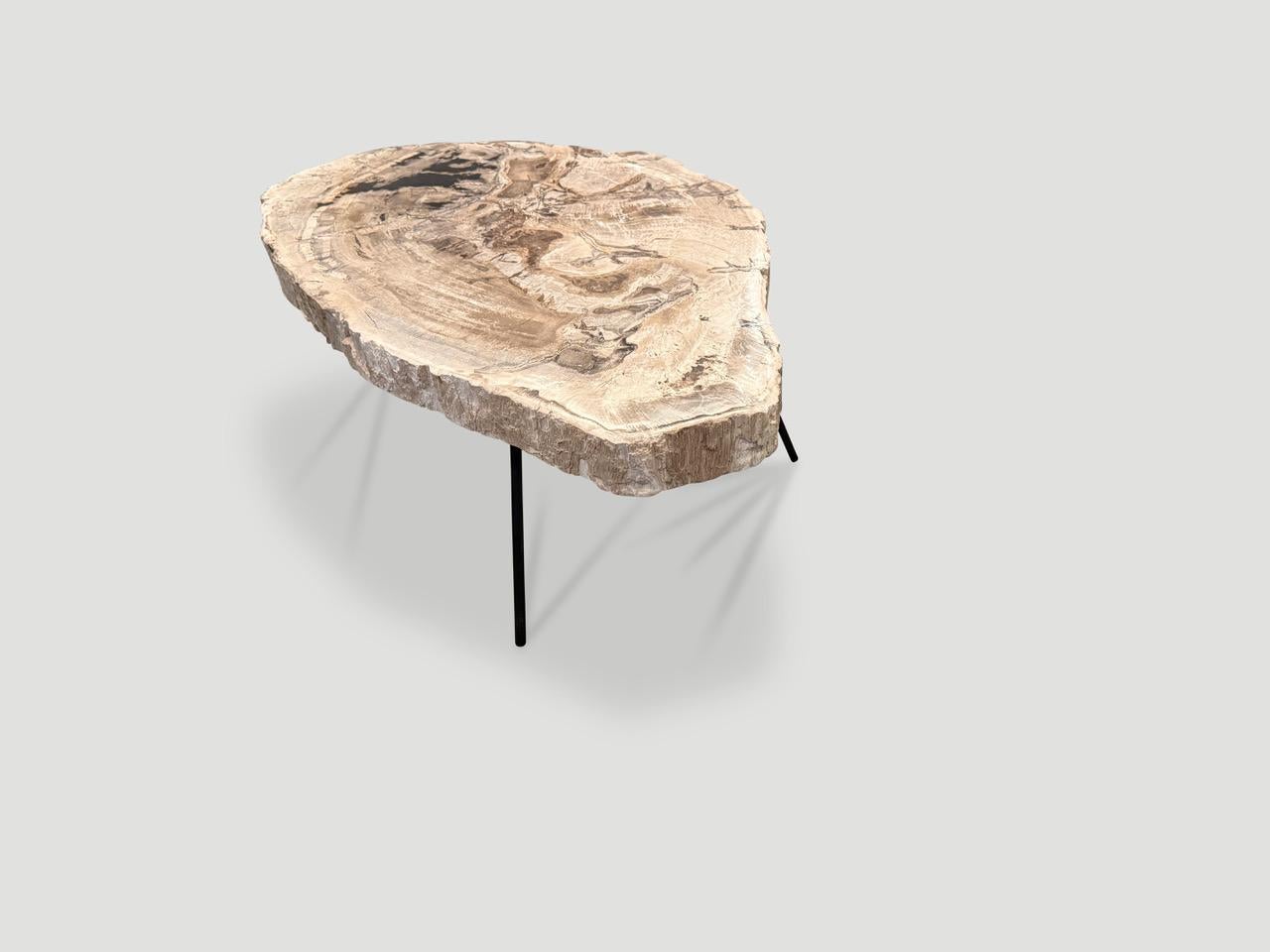 Andrianna Shamaris Minimalist Petrified Wood Coffee Table For Sale 2
