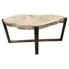 Andrianna Shamaris Minimalist Petrified Wood Coffee Table