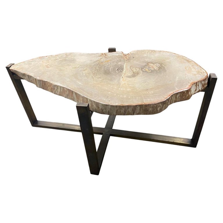 Andrianna Shamaris Minimalist Petrified Wood Coffee Table at 1stDibs