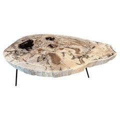 Andrianna Shamaris Table basse minimaliste en Wood Wood