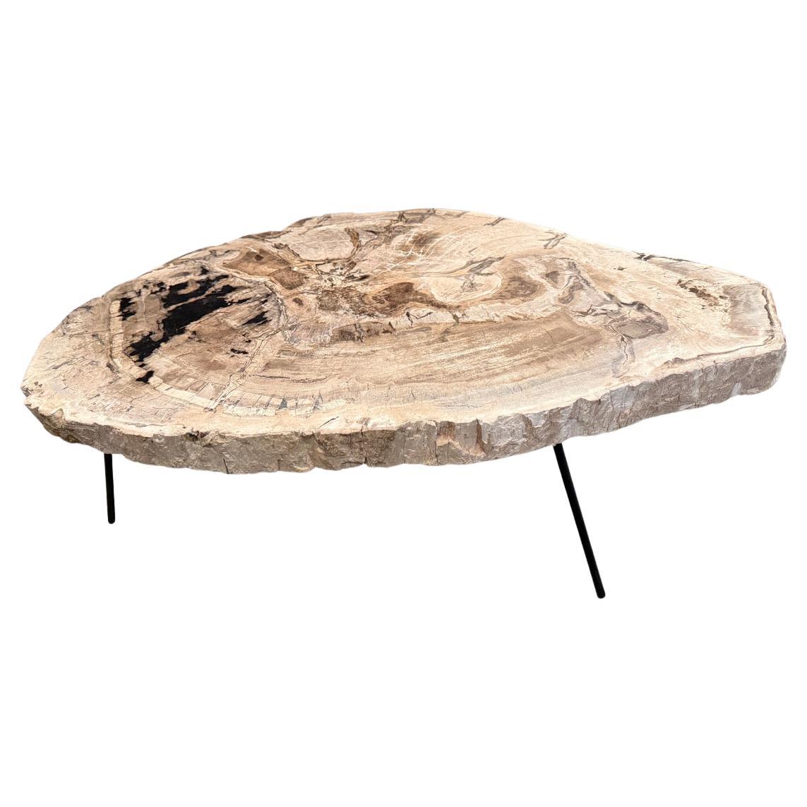 Andrianna Shamaris Minimalist Petrified Wood Coffee Table For Sale